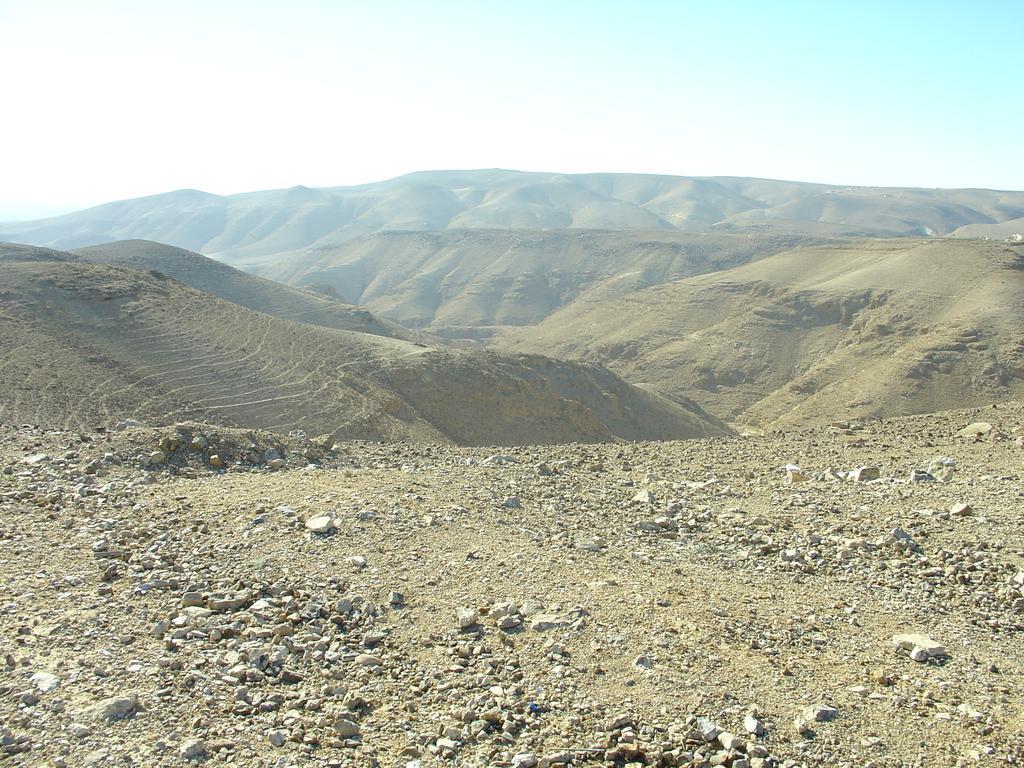 ערד דירות ים המלח יהודה חדר תמונה